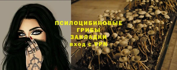 PSILOCYBIN Армянск