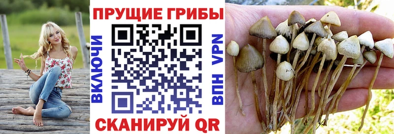Псилоцибиновые грибы MAGIC MUSHROOMS Белоярский